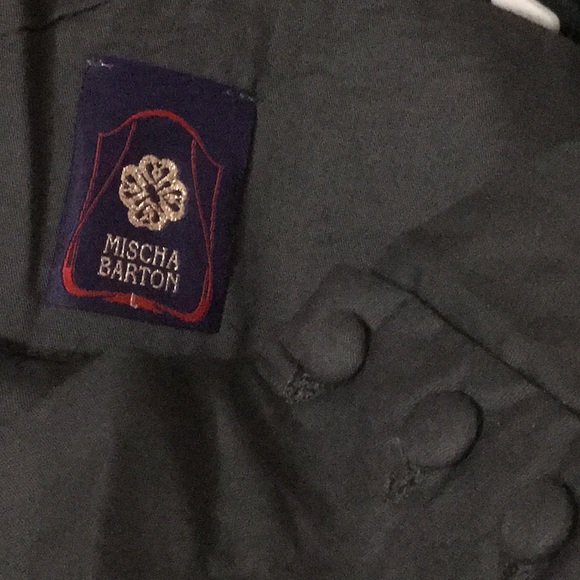 NWOT Mischa Barton size large skirt * Belle Skirt - Picture 4 of 5